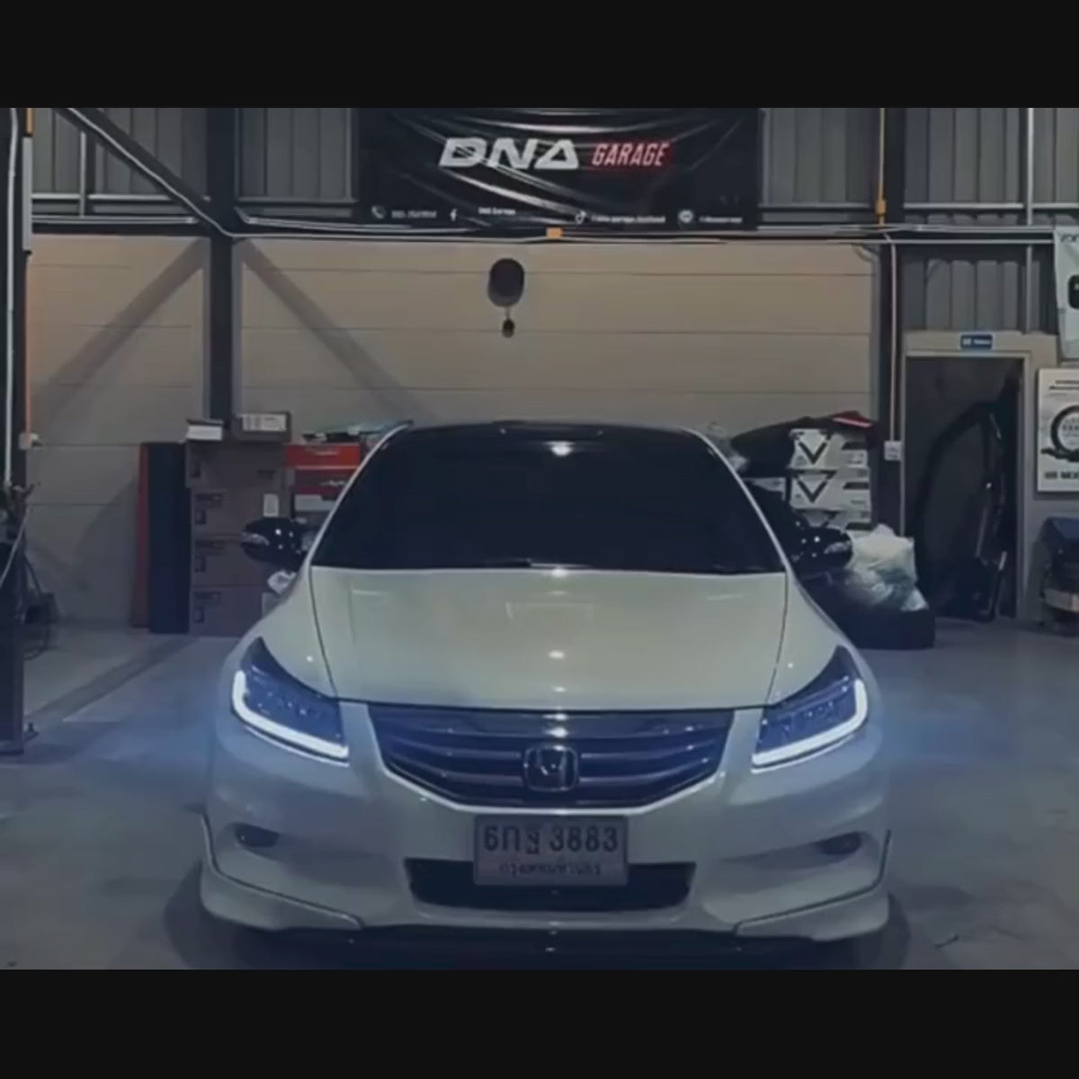 LED-Scheinwerfer für Honda Accord Limousine der 8. Generation (2008-2012) | Flügelförmiges weißes Tagfahrlicht